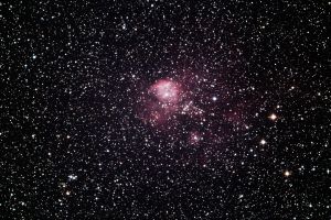 マンドリル星雲(NGC2467)