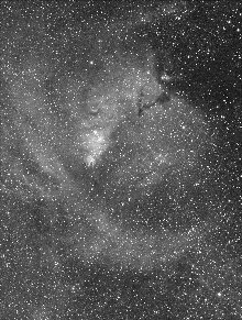 NGC2264(クリスマスツリー星団)付近 Hα