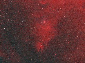 クリスマスツリー星団付近 AOO合成